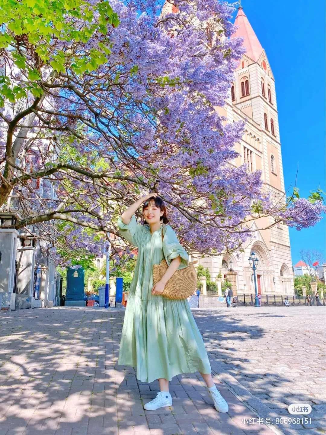 均温20℃的海滨老城，紫色泡桐花美得像国外，现在去性价比超高