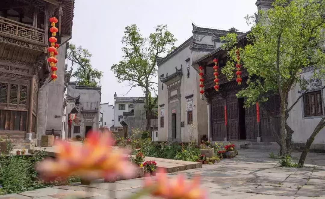 《艺术地产·界》首秀婺源文化之旅与房企大咖共话城市更新