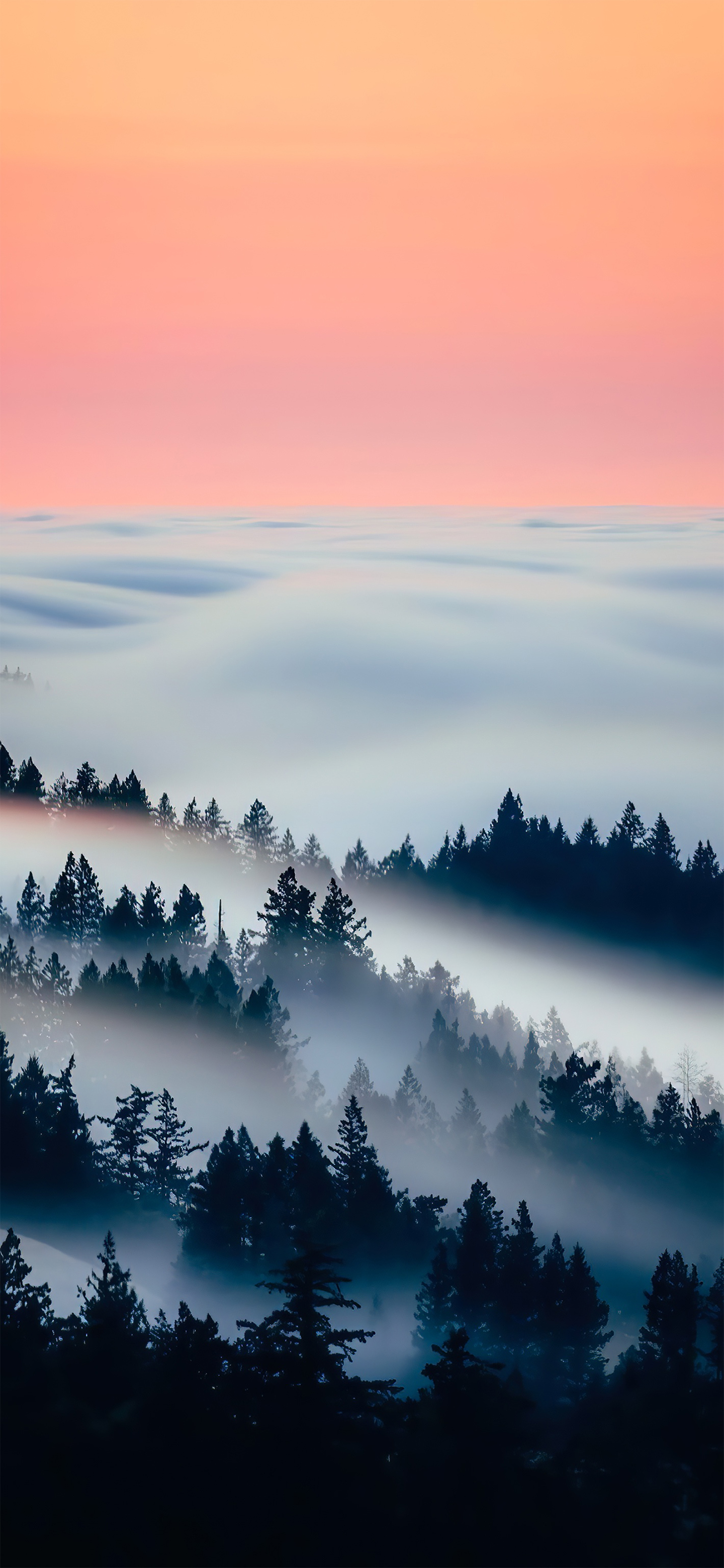 高清花和水的结合壁纸,风景壁纸高清全屏高级感组合