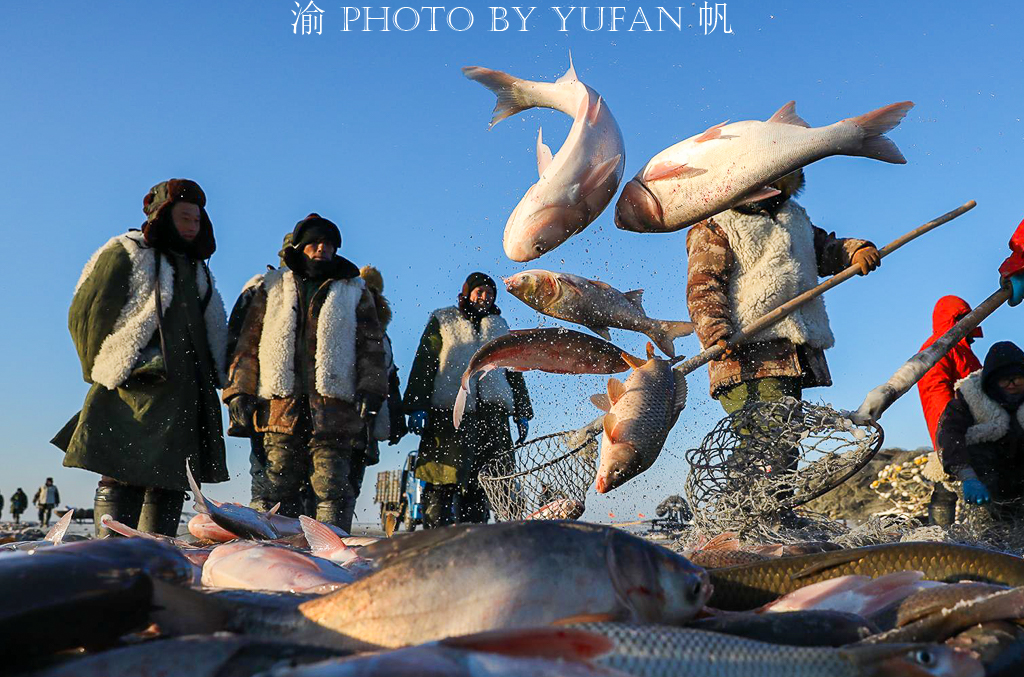 查干湖全鱼宴，不容错过的吉林美食，不仅味道鲜美，还是非物遗产