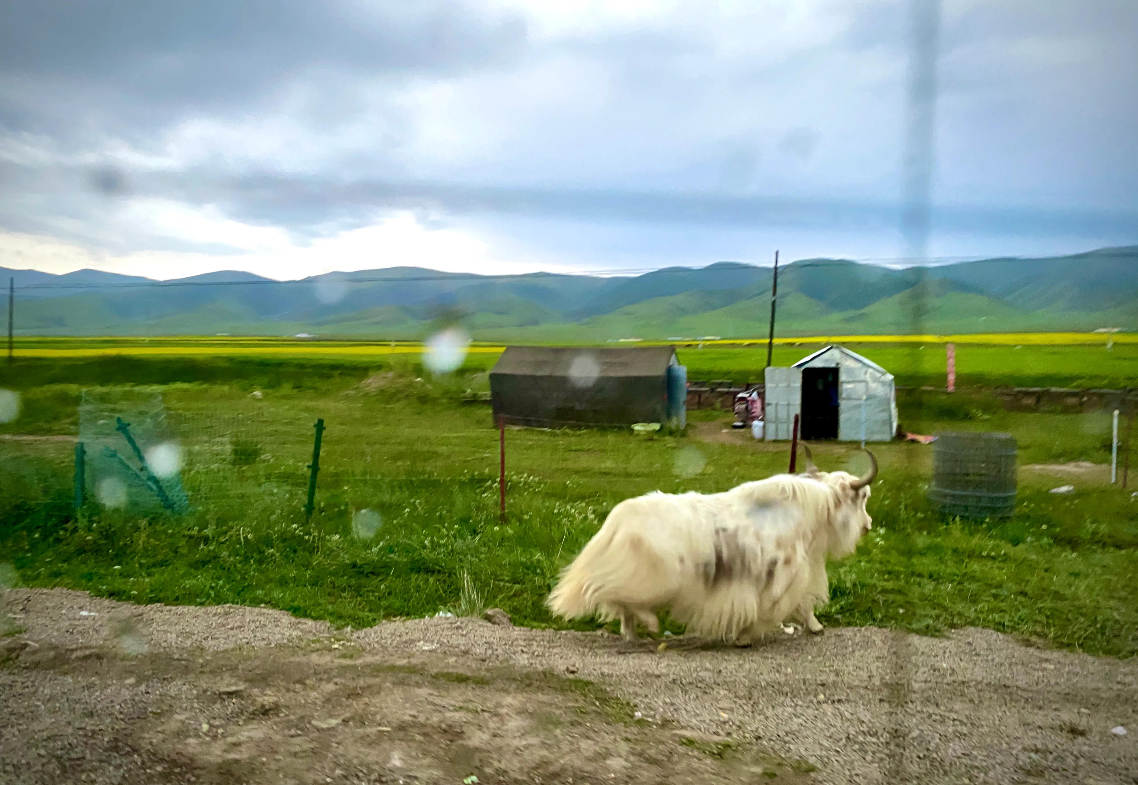 青海湖旅游租车攻略,骑行青海湖旅游攻略