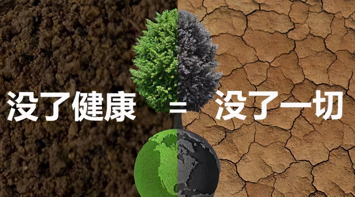 王健林重新进军房地产,王健林说房地产不是暴利行业