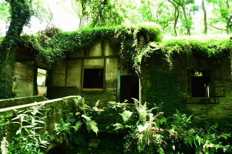 重庆值得一去的5个古镇,重庆最值得去的十大古镇