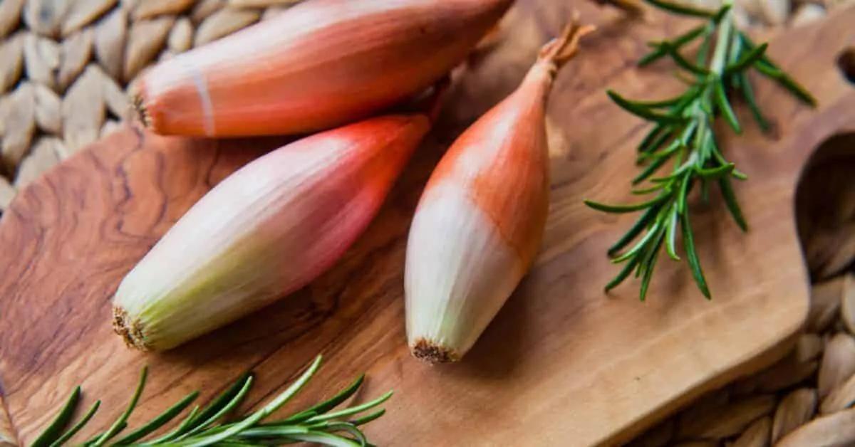 法国菜对菜肴讲究鲜嫩,精致又美味的法国菜