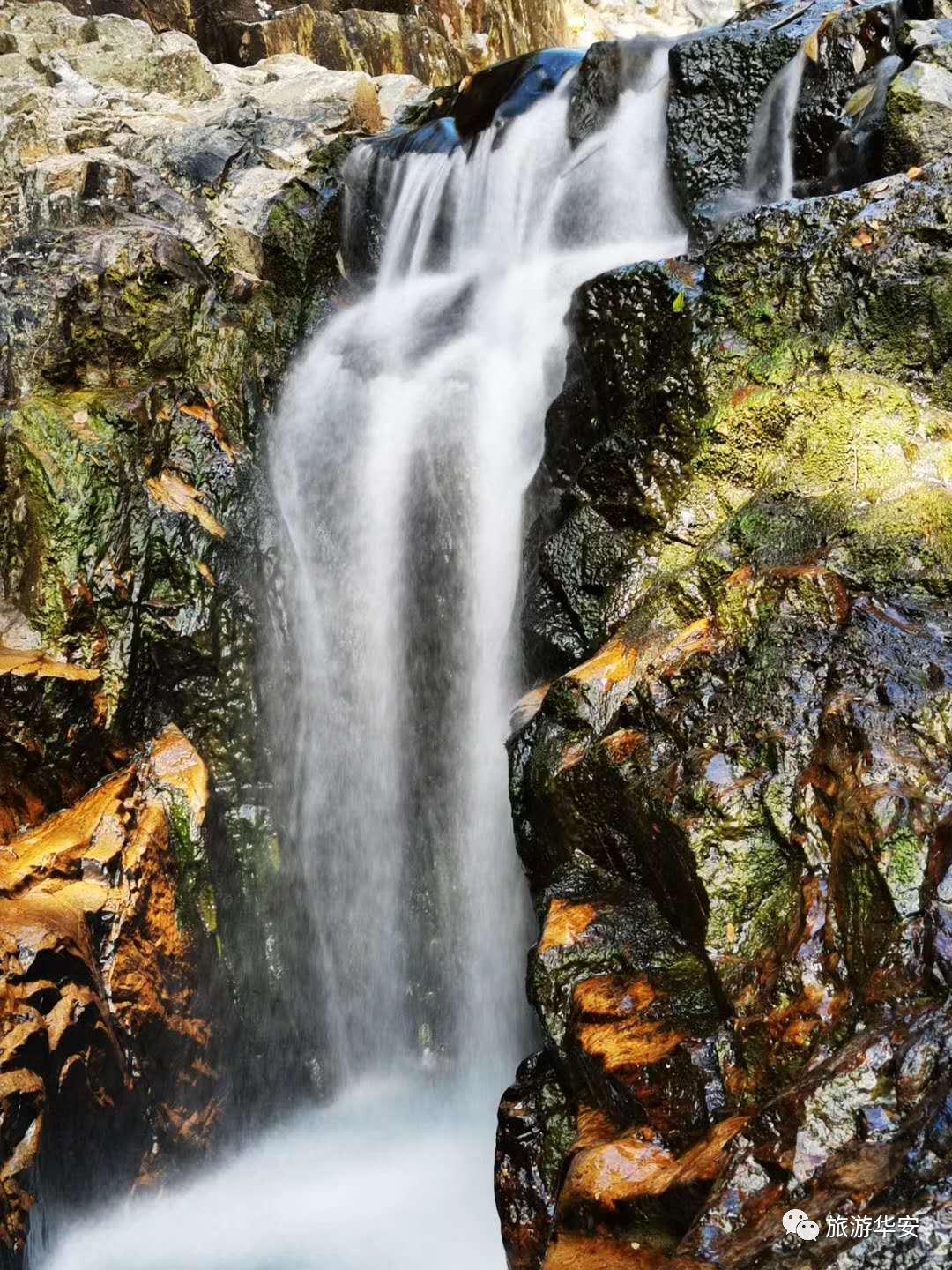 春风十里不如你,我在华安等着您