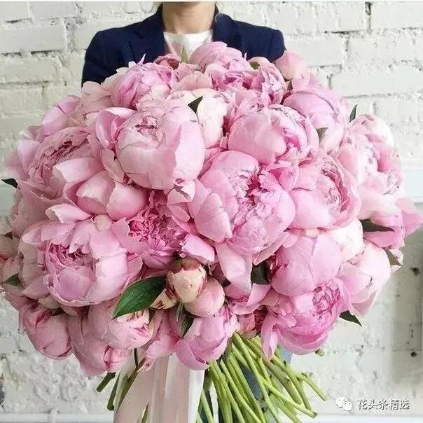 母亲节送什么花比较实用,母亲节送什么花合适呢