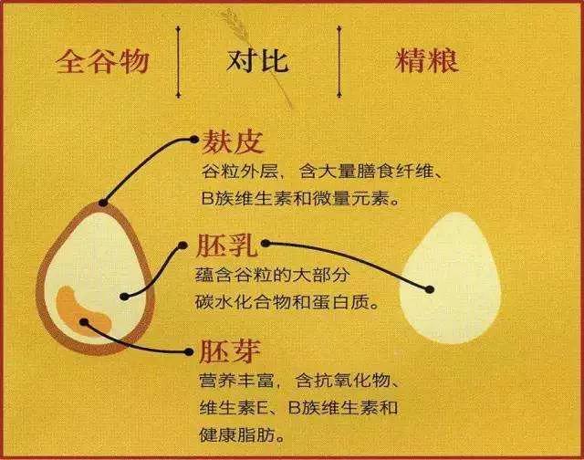 晚上饿了建议吃还是不吃,晚上饿的时候应该吃什么好