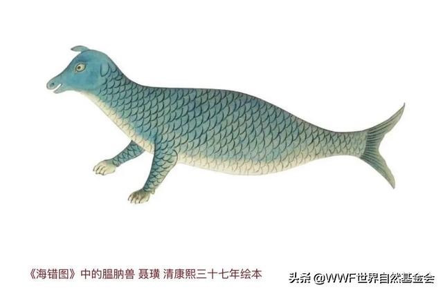 大连海兽馆,大连海兽