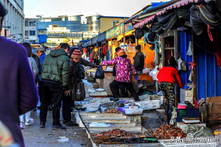 烟台莱阳海鲜早市,烟台老红利市场早市