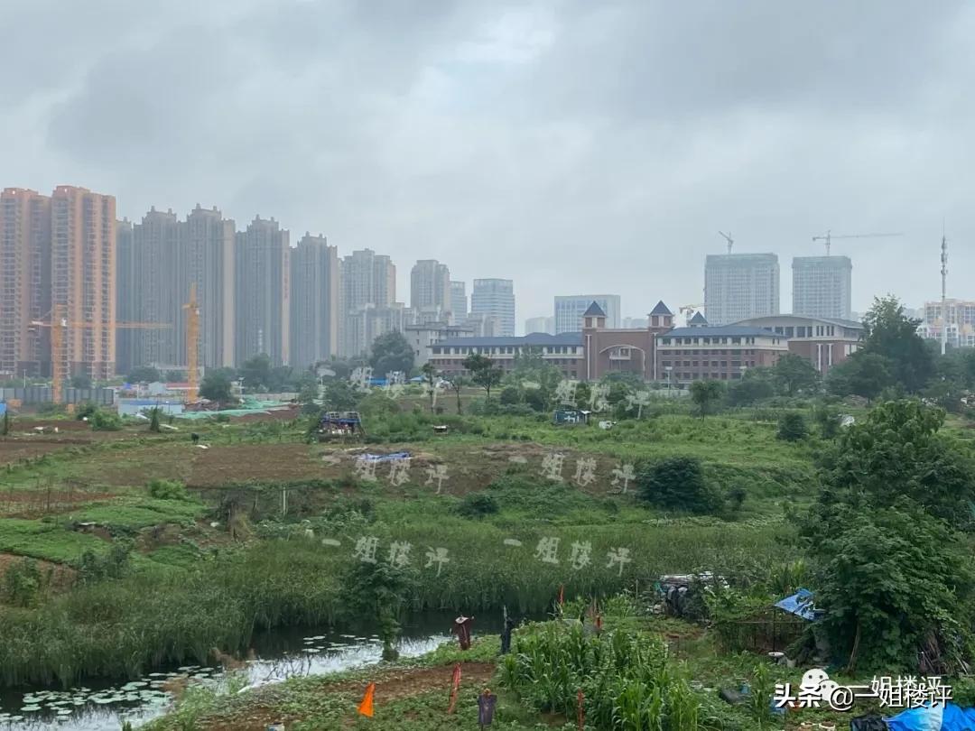 3年“狼来了”！光谷多少购房者失望放弃！又放风了！你倒是卖呀