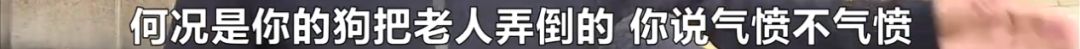 湖南长沙狗不拴绳撞到路人,长沙女子遛狗不牵绳被金毛咬后续
