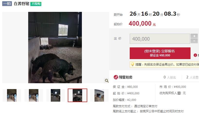 阿里拍卖能捡到便宜吗,阿里拍卖的东西靠谱么