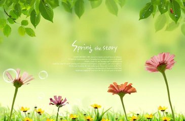 高考英语128单词讲解,高考核心词汇free