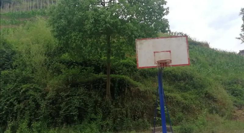 满怀赤子之心，再现抗疫攻坚精神——2020年阜新篮球学校全国U系列参赛队线上“体能大比武”活动纪实