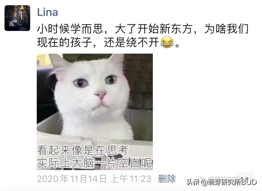 关于学而思的句子,你眼中的学而思网校是什么样子