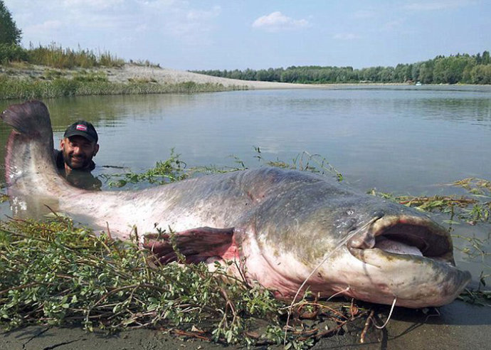 最好钓的十种鱼,最好钓的六种鱼