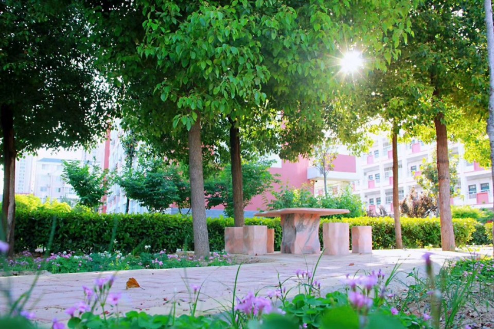 北京第二实验小学洛阳分校教学,北京二实小洛阳分校