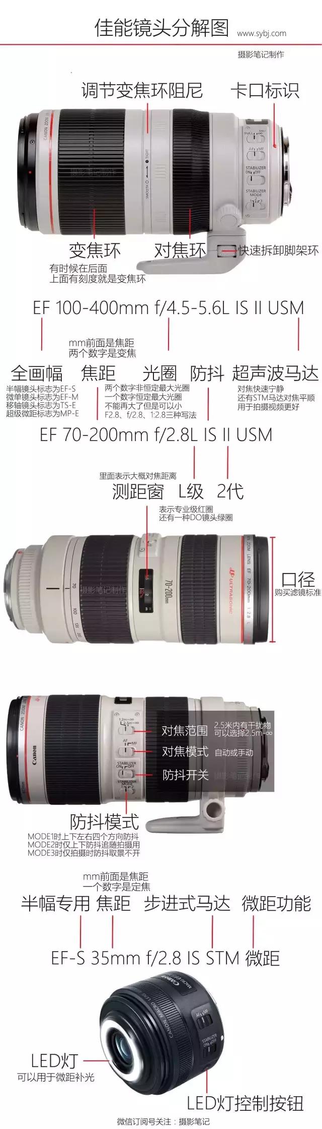 19个冷知识分享,19条有趣的冷知识大全