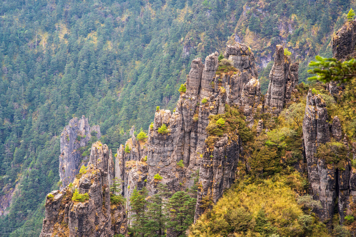 神农架攻略,神农架宰客