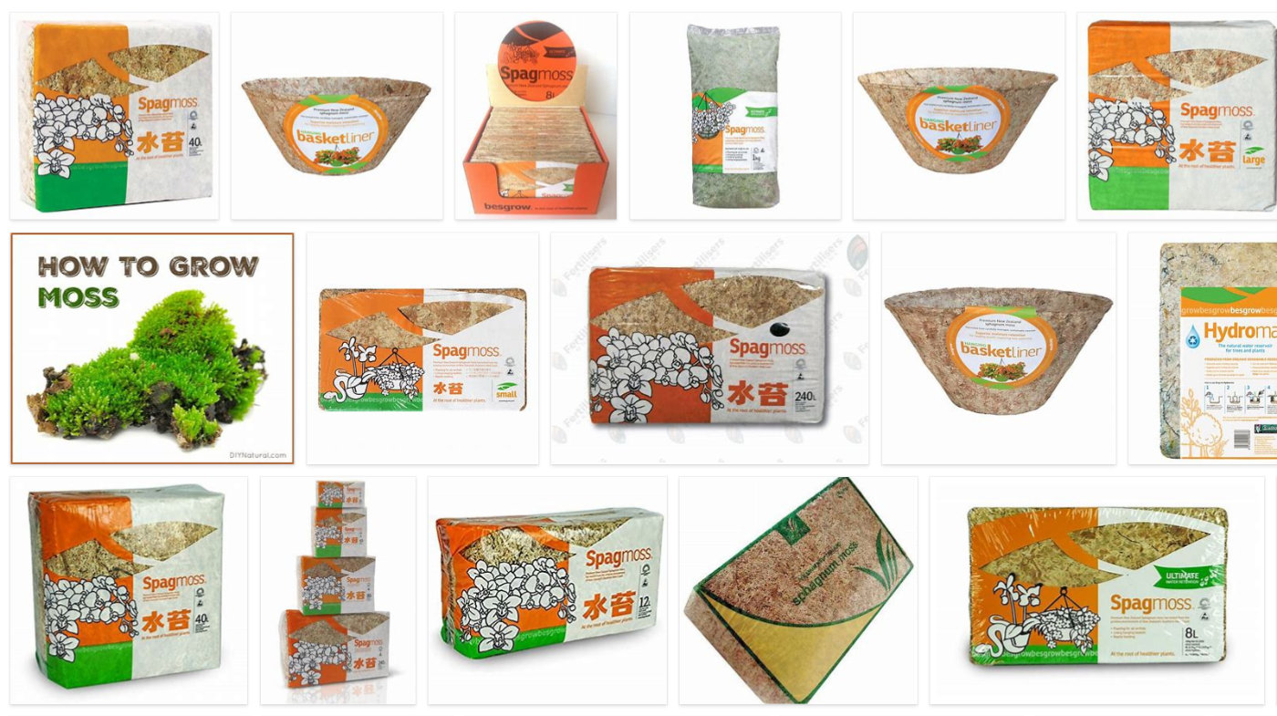 新西兰南岛一日游,新西兰南岛旅游地图