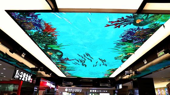 龙岩美食街打卡地,龙岩最好的小吃街