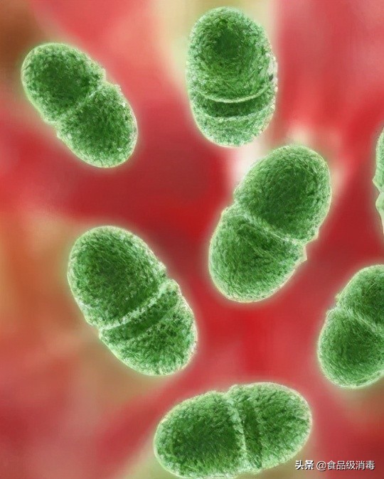 口腔诊疗用水污染三个主要来源,口腔综合治疗台水路消毒规范