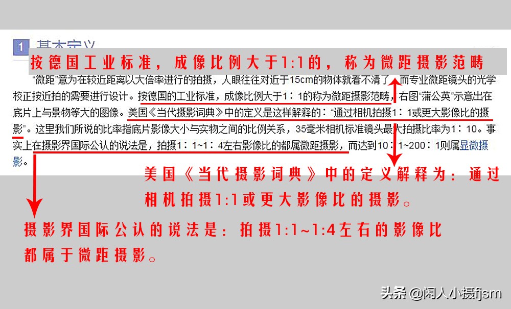 微距和一般摄影有什么区别,摄影写实和写意的区别