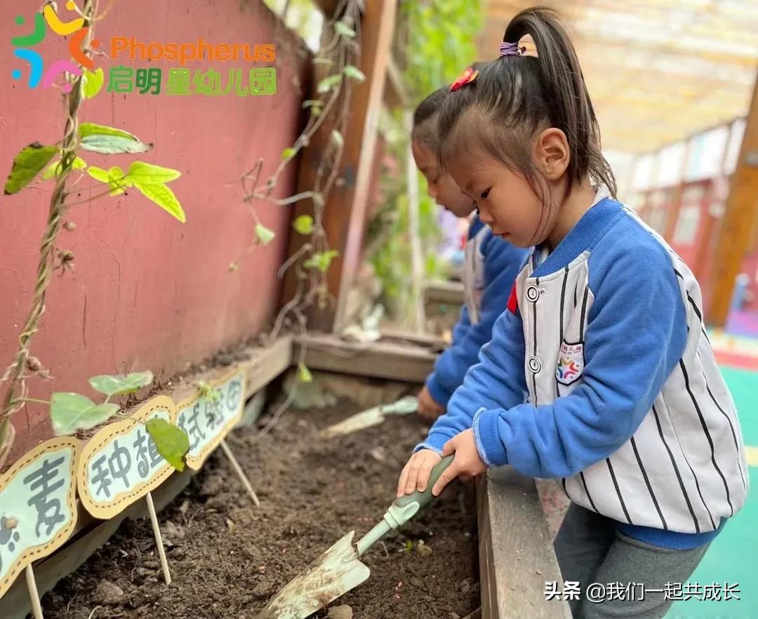 寻一抹秋色，遇一片美好：济南市启明星幼儿园的秋之美