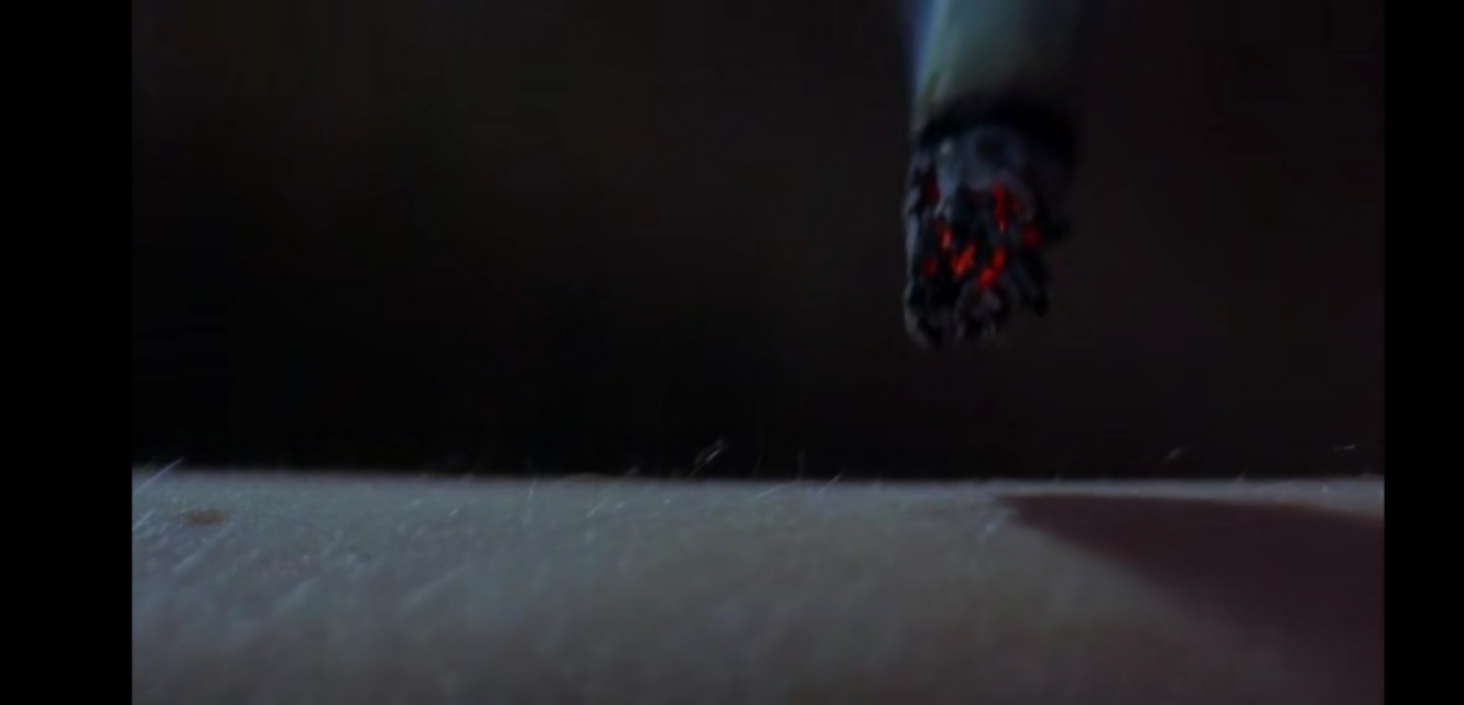 美国田园下的罪恶众人结局,美国田园下的罪恶