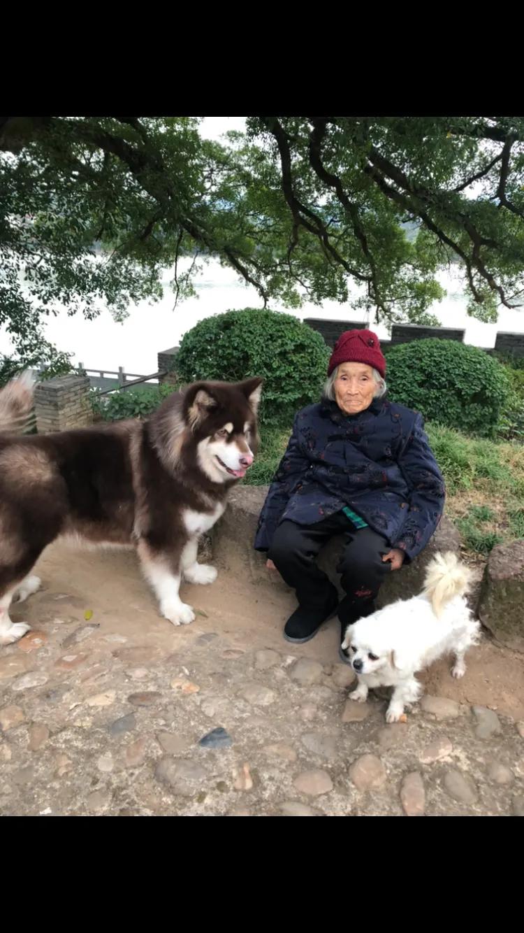 母亲与咪咪的情缘