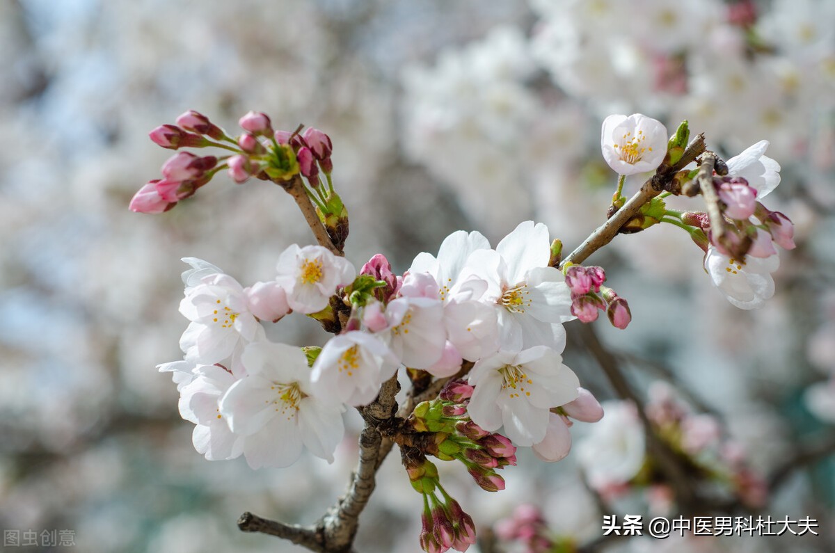 肾气不固脾虚痰湿吃什么中成药,痰湿体质怎么补肾气