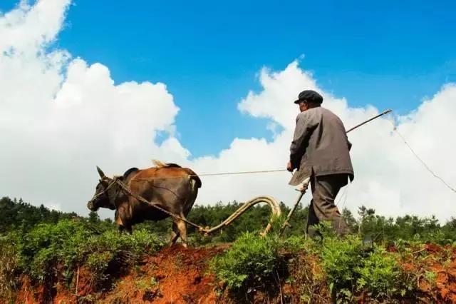 如果,为纵横深圳商圈的潮汕老板摹一幅画像...