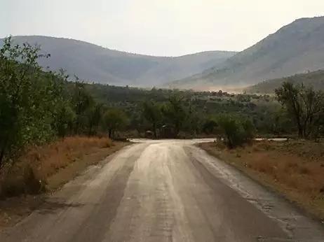 绘语养生｜非洲行画（二）