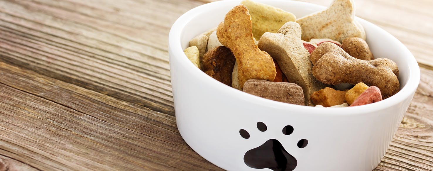 看懂狗粮配方,狗粮选择科普小知识怎么选