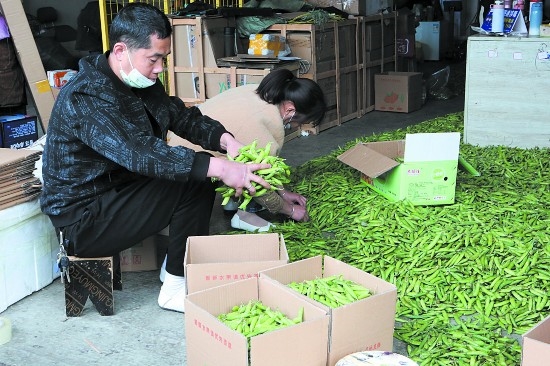 农村快递电商市场,四川农村物流示范