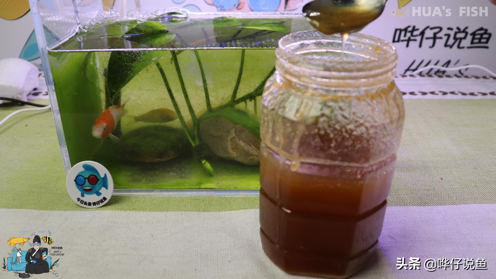 给热带鱼增色的饲料是真的么,给观赏鱼喂什么比较好