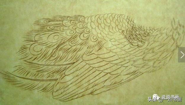 工笔国画孔雀画高清大图,工笔孔雀的画法步骤
