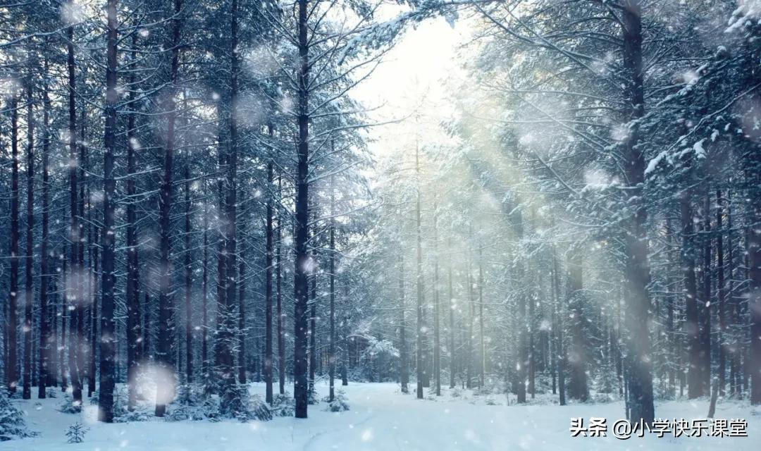 冬天来了描写,描写冬景的好词好句好段摘抄大全