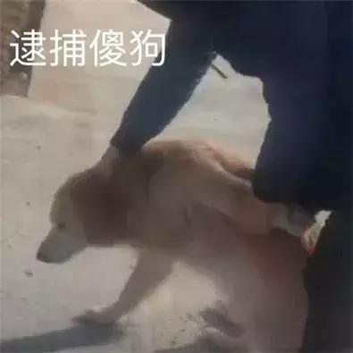 淘宝月销上千到上万,淘宝月销上万的商品