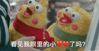 成都菁蓉公寓,成都菁蓉镇公寓出租