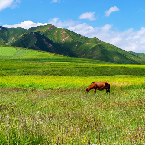 雅丹一日游最佳去处,水上雅丹游玩避坑