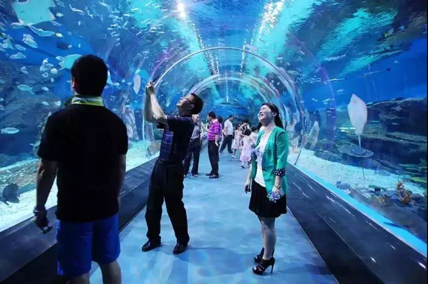 请回答郑州青年,请回答1988完整视频