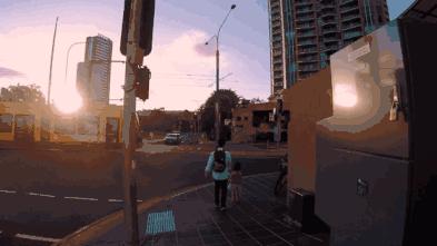 澳大利亚旅游抱考拉,麻麻游记视频大全