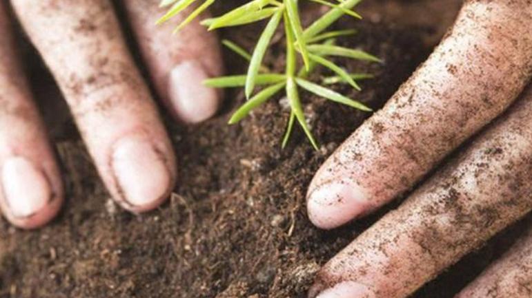 牛粪养殖蚯蚓技术视频教程,牛粪蚯蚓养殖合法