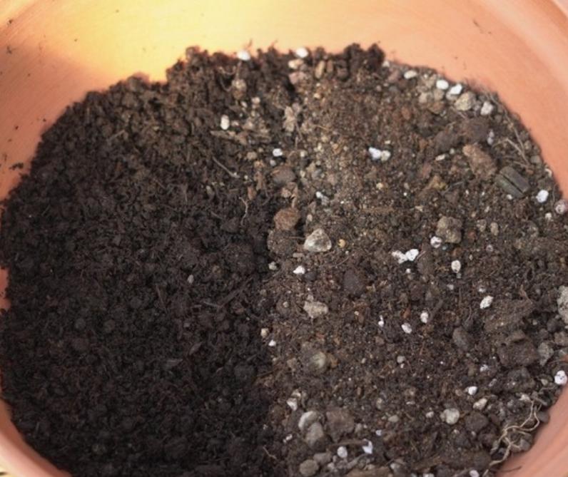 盆栽土太硬挖不动怎么办,盆栽花土板结怎么处理