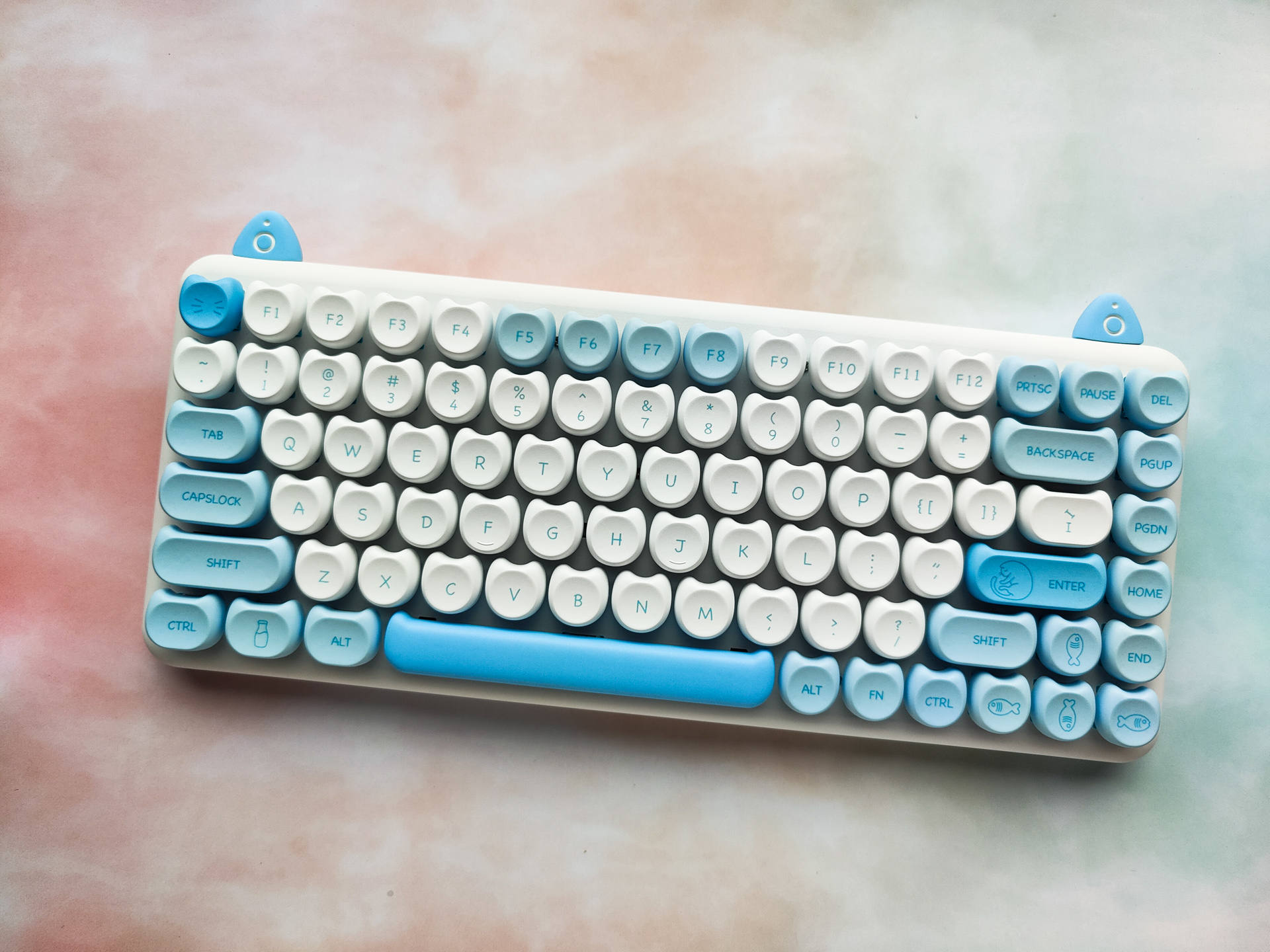 给领导迟到的礼物——IQUNIXM80萌萌波斯简单晒