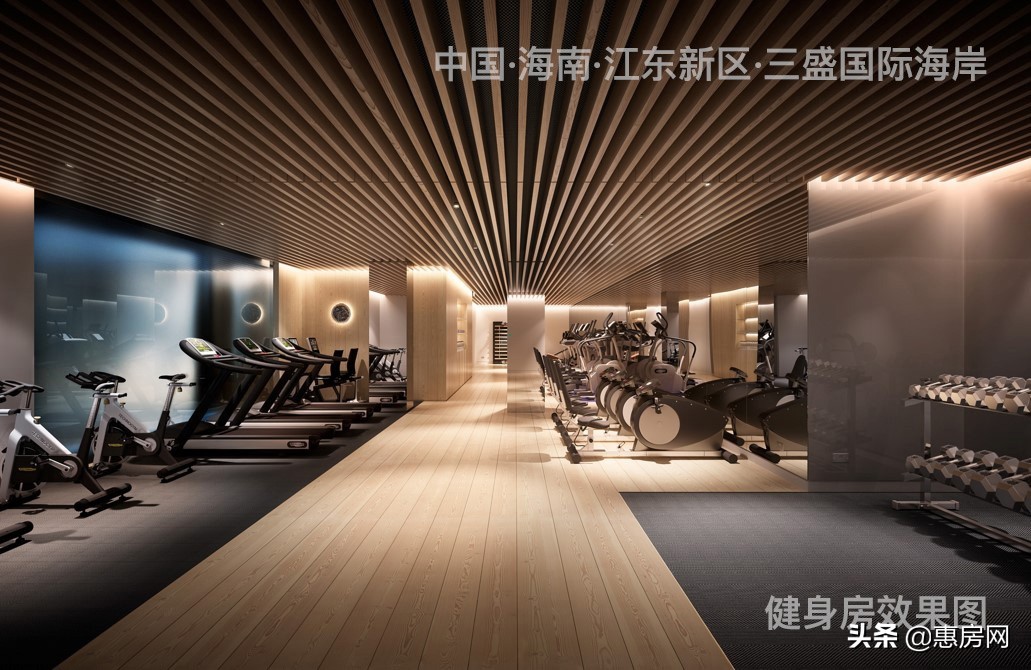 三盛地产！亚洲十大豪宅缔造者！跟随国家的战略脚步！首进海南