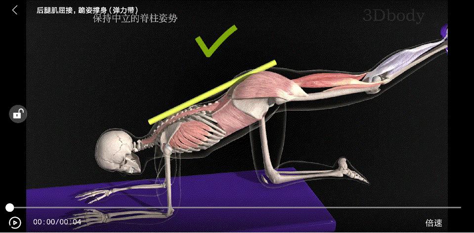 小腿粗壮按摩小腿会变瘦吗,怎么按摩小腿让小腿瘦下