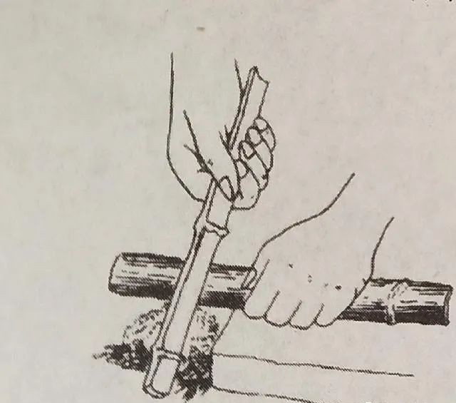 生存小技巧钻木取火,荒野生存取水技巧