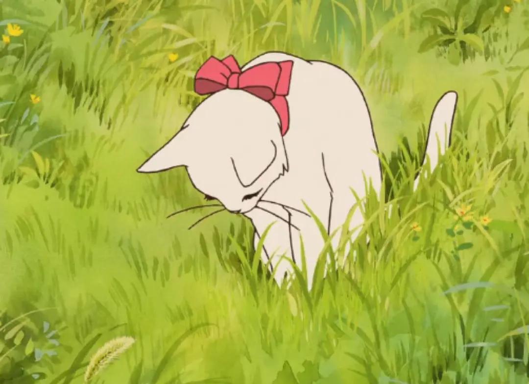 十部顶级吉卜力动漫电影,吉卜力的动画电影